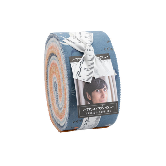 MENDER- JELLY ROLL - Moda Fabric Code 24580JR