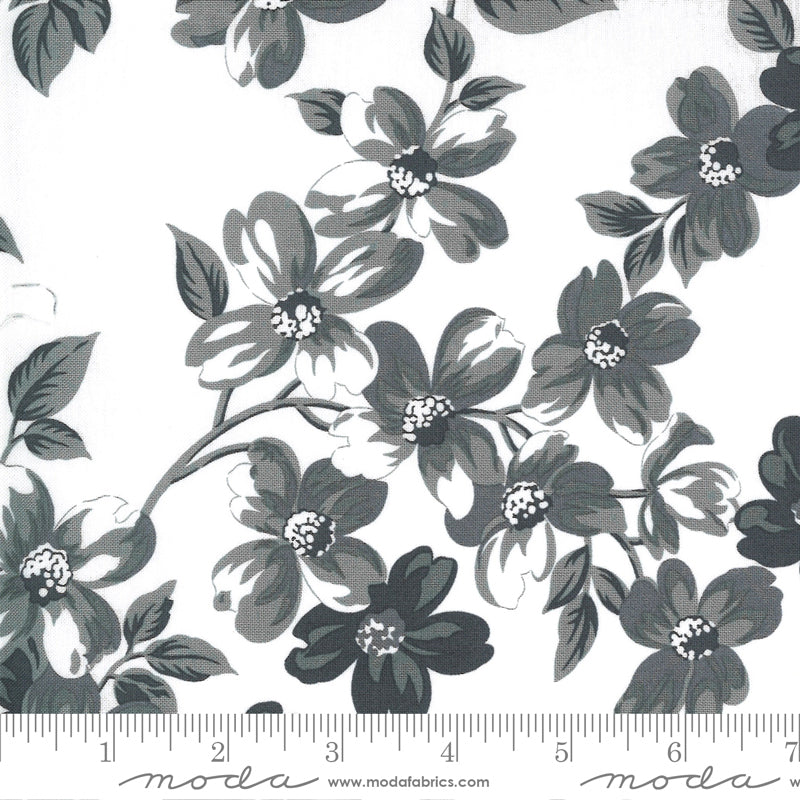 Sunday Stroll Collection - By Bonnie & Camille - From Moda Fabrics
