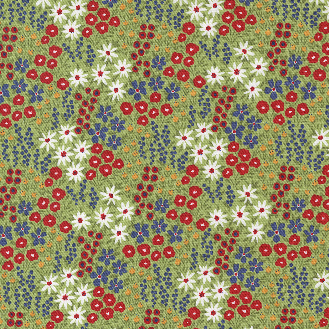 GRAZE - By SWEETWATER -  From Moda Fabrics