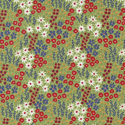 GRAZE - By SWEETWATER -  From Moda Fabrics