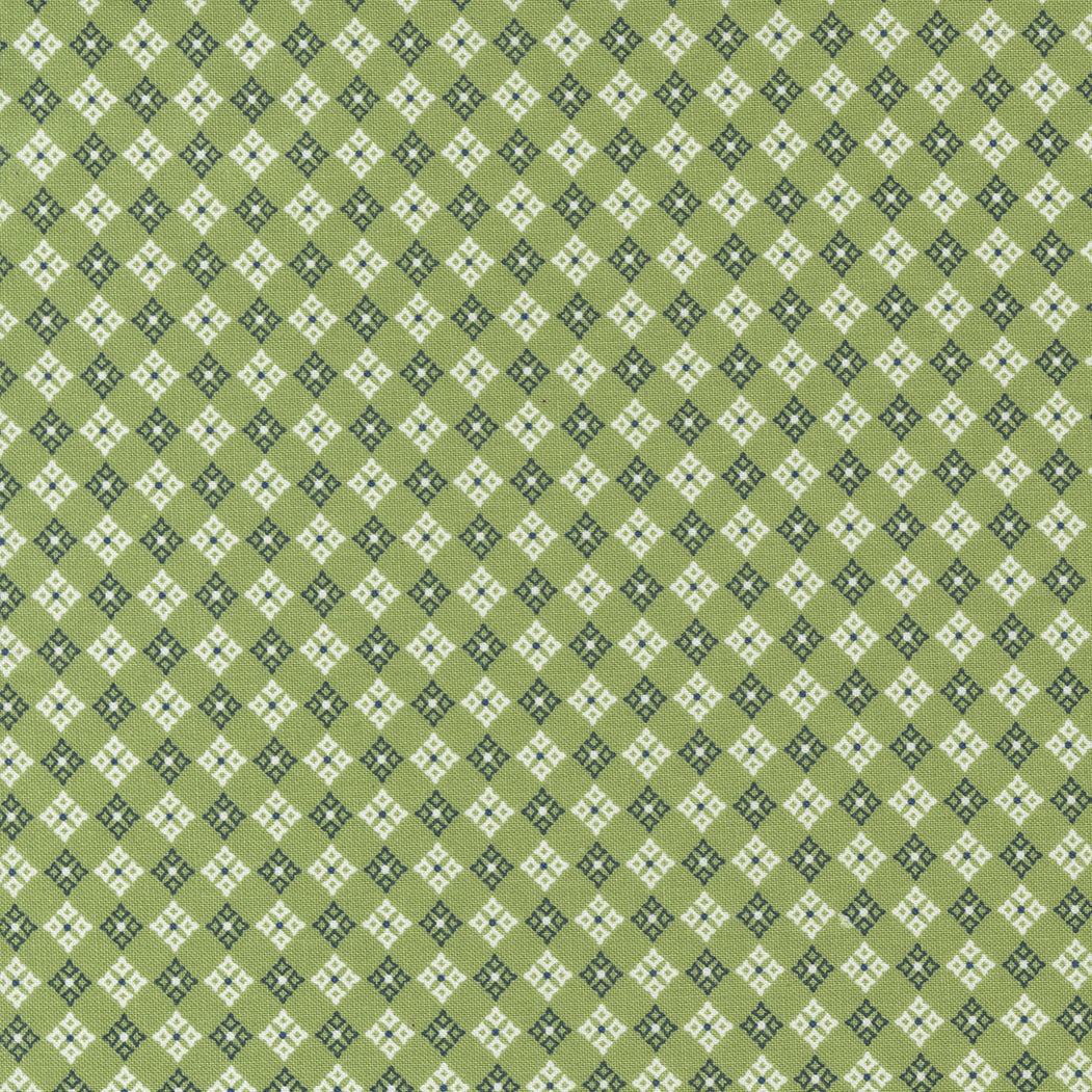 GRAZE - By SWEETWATER -  From Moda Fabrics